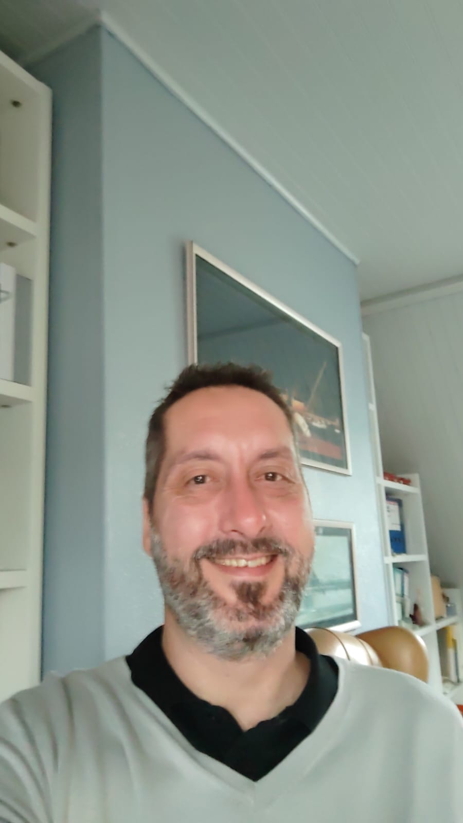 Profil von Sullyvan